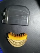 Cepillo facial junto a la tapa de su estuche